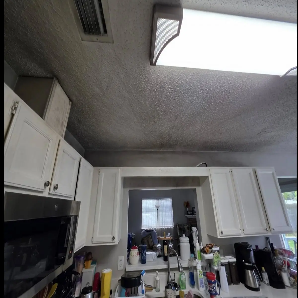 Before Roof painting